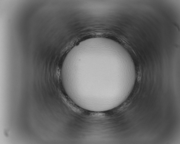 X0000100370476200806060806