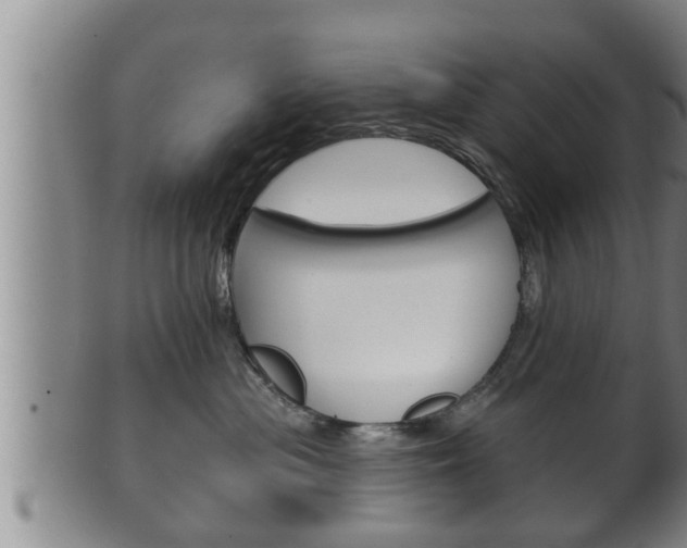 X0000100370477200806060806