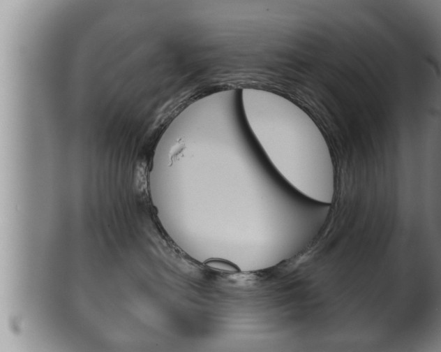 X0000100370478200806060806