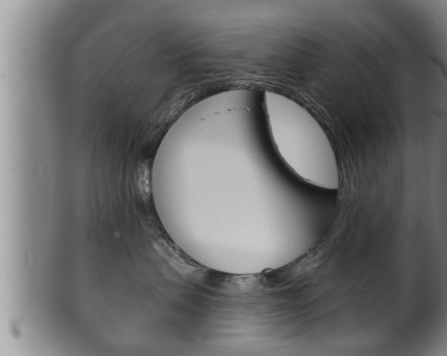 X0000100370479200806060806