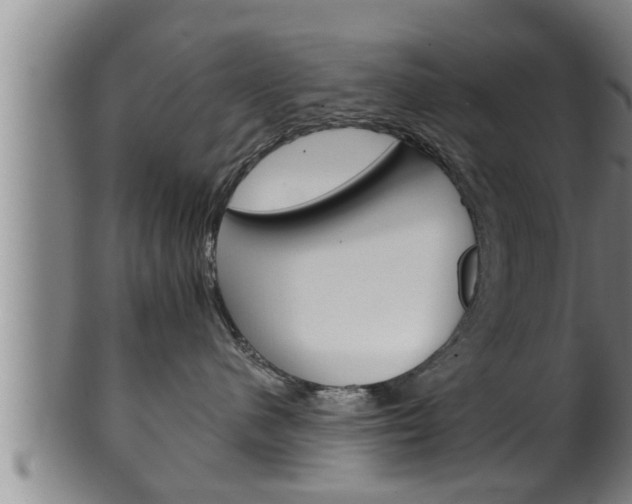 X0000100370480200806060806