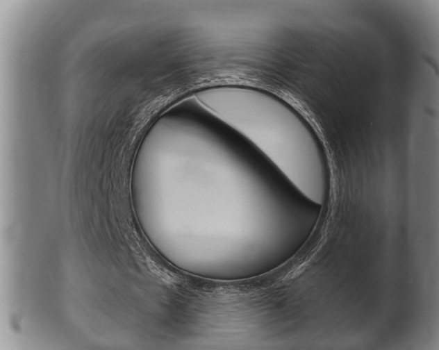 X0000100370481200806060805