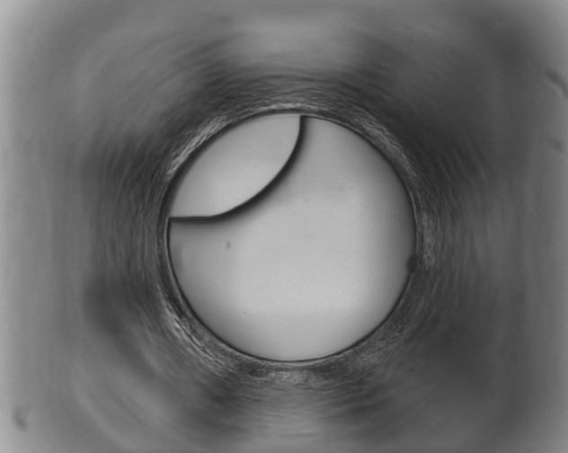 X0000100370482200806060805