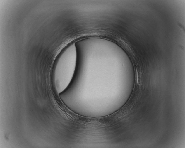 X0000100370483200806060805