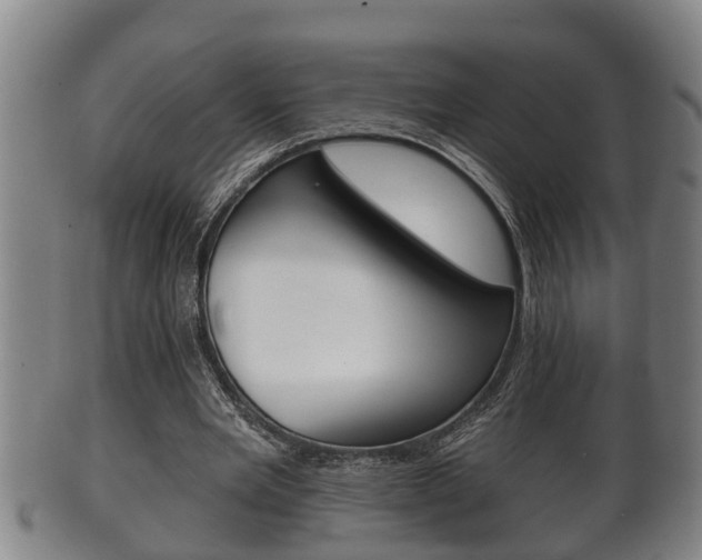 X0000100370485200806060805