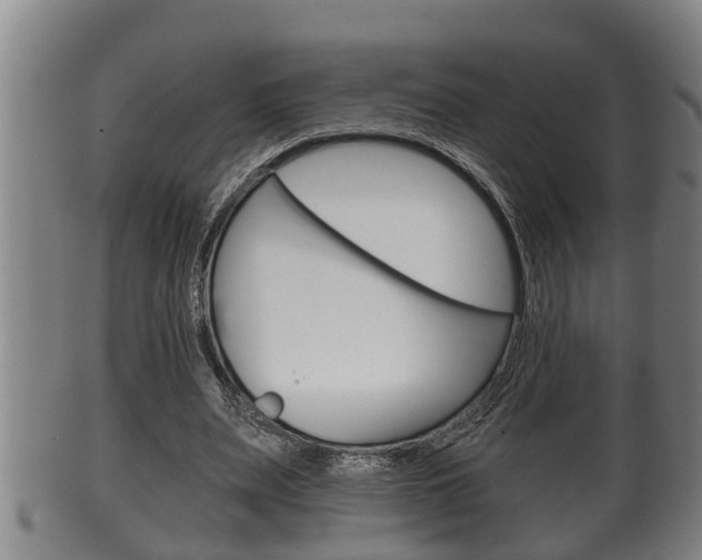 X0000100370487200806060805