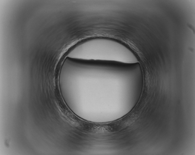 X0000100370488200806060805