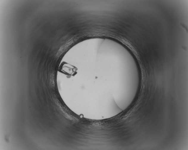 X0000100370489200806060805