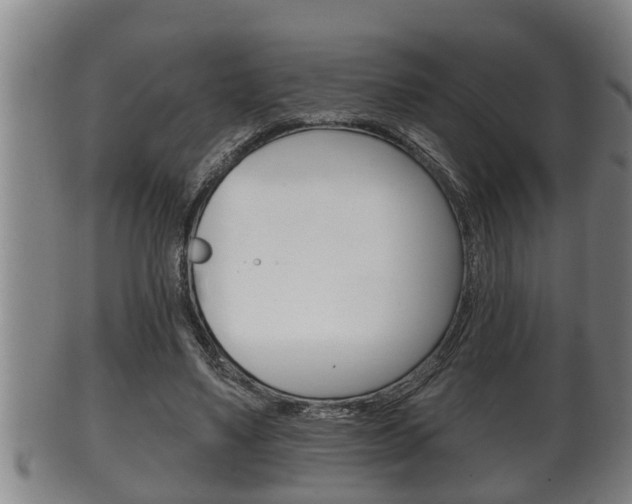 X0000100370491200806060805