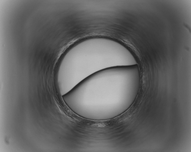 X0000100370492200806060805