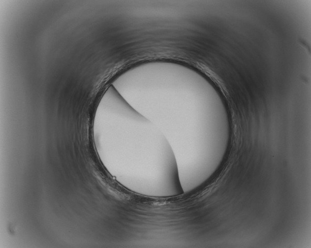 X0000100370493200806060805