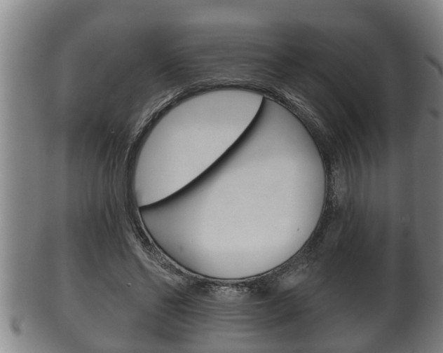 X0000100370494200806060805