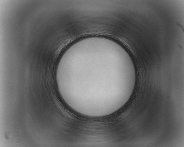 X0000100370495200806060805