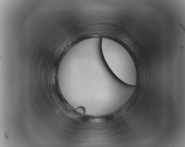 X0000100370499200806060805