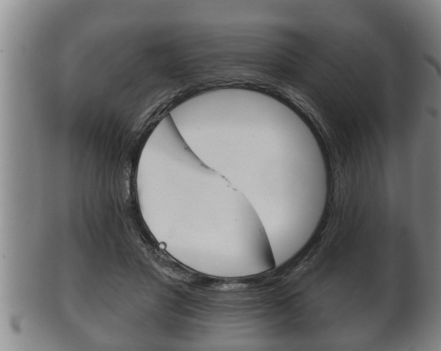X0000100370501200806060805