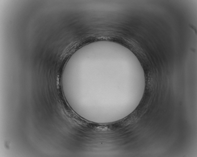 X0000100370502200806060805