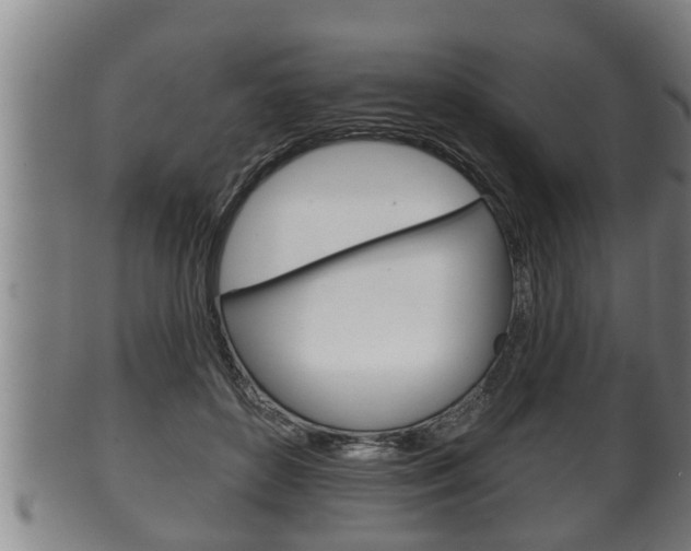 X0000100370504200806060805