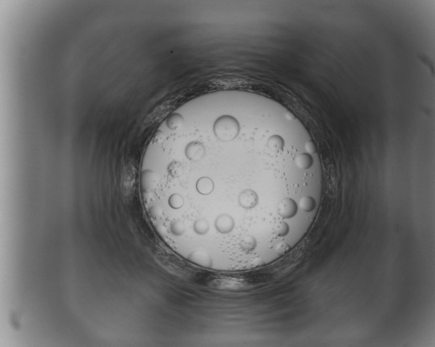 X0000100370507200806060805