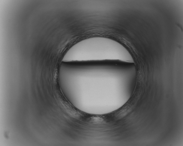 X0000100370509200806060805