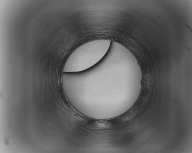X0000100370510200806060805