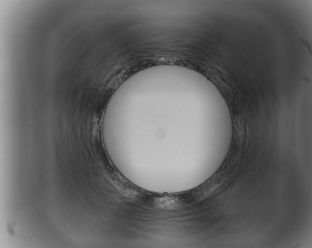 X0000100370511200806060805