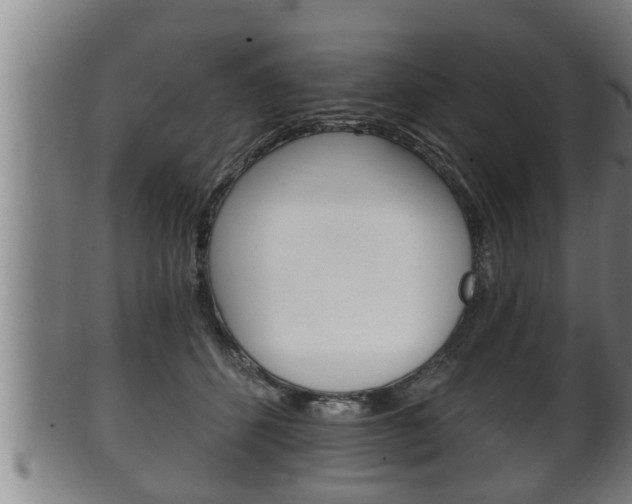 X0000100370512200806060805
