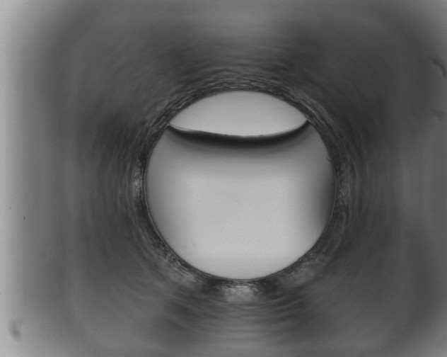 X0000100370513200806060805