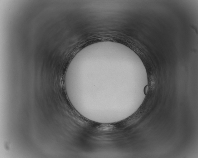 X0000100370514200806060805