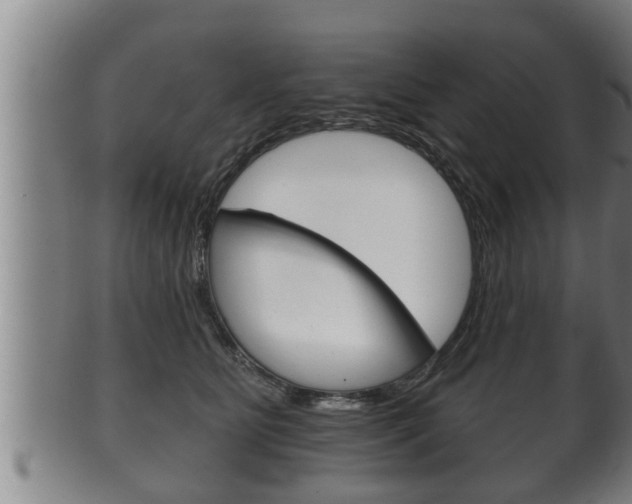X0000100370515200806060805