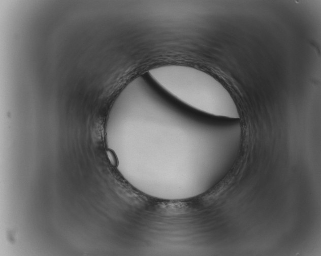 X0000100370517200806060805