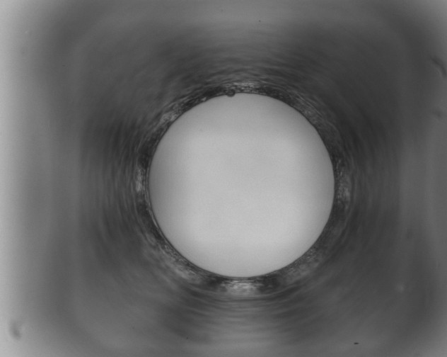 X0000100370518200806060805