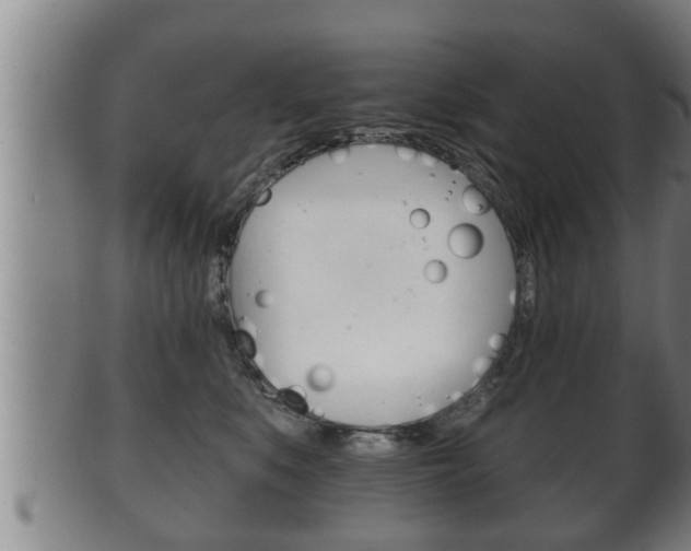 X0000100370519200806060805