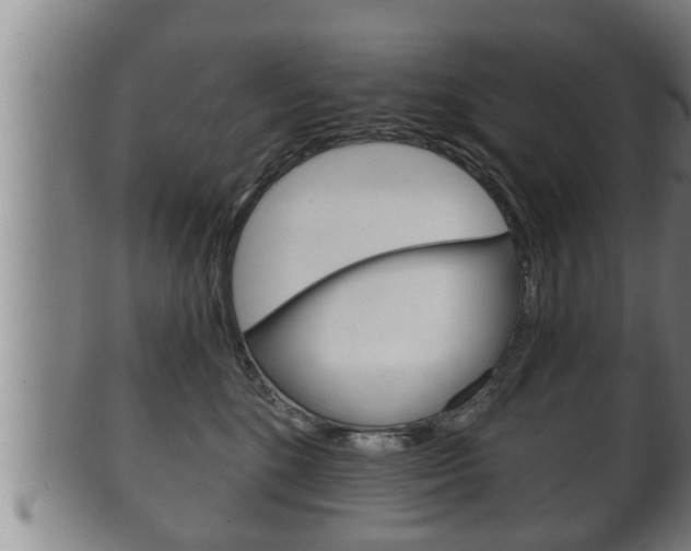 X0000100370520200806060805