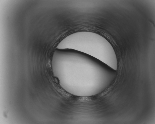 X0000100370521200806060805