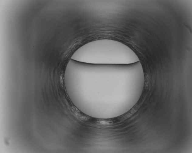 X0000100370522200806060805
