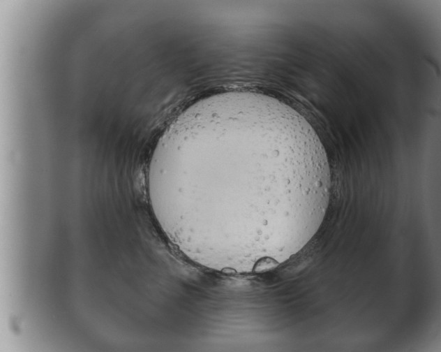 X0000100370523200806060805