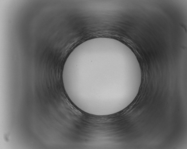 X0000100370525200806060805