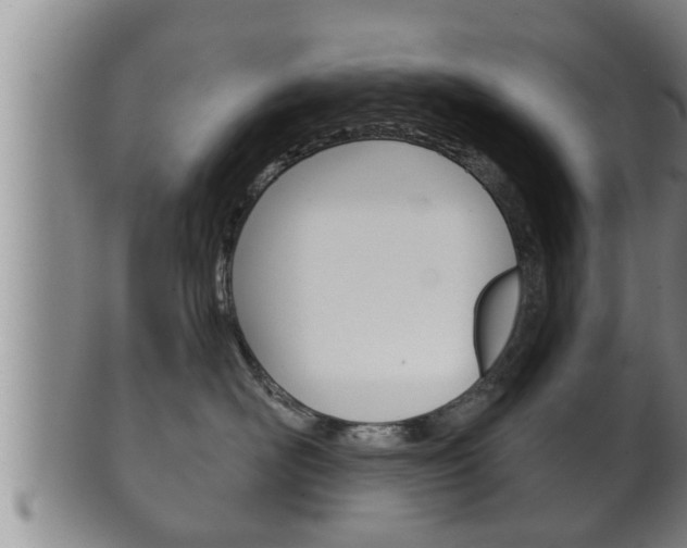 X0000100370526200806060805