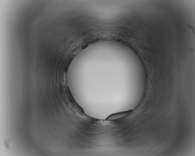 X0000100370528200806060805