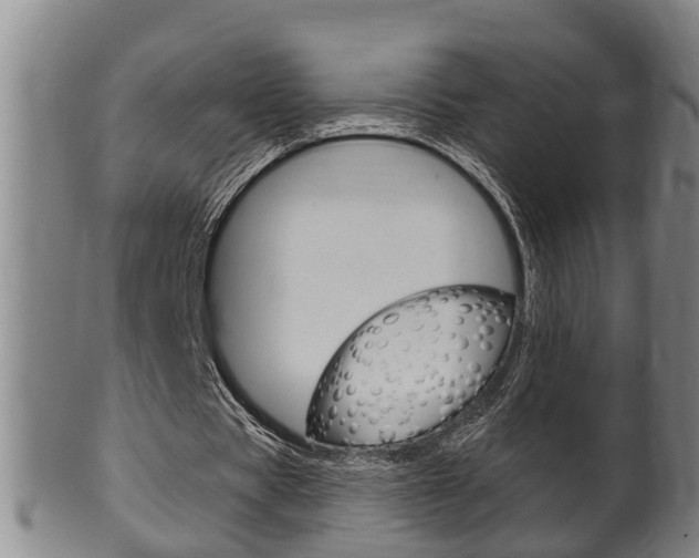 X0000100370529200806060804