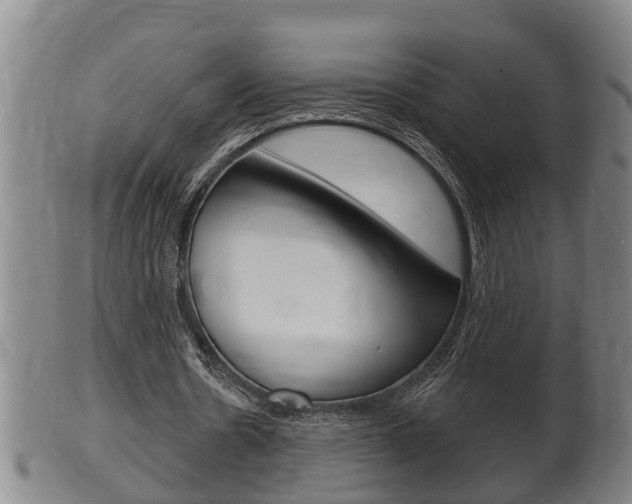X0000100370530200806060804