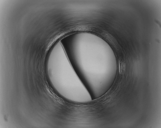 X0000100370531200806060804