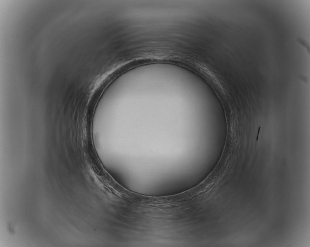 X0000100370532200806060804