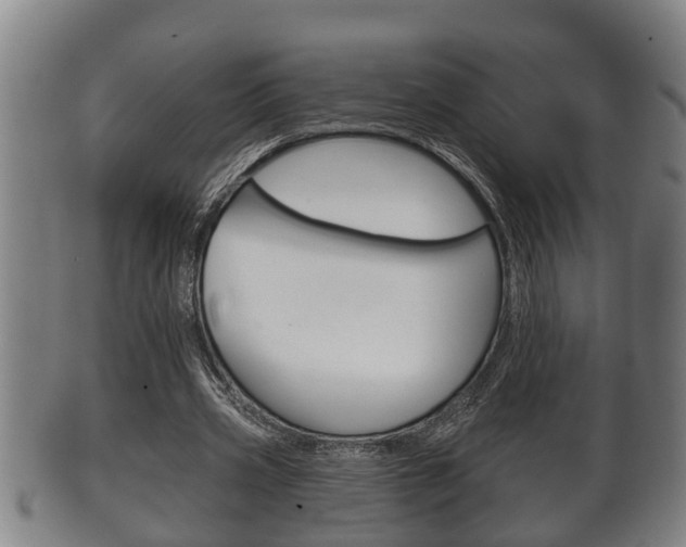 X0000100370533200806060804
