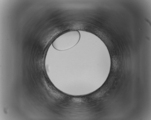 X0000100370534200806060804
