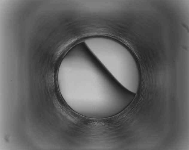 X0000100370535200806060804