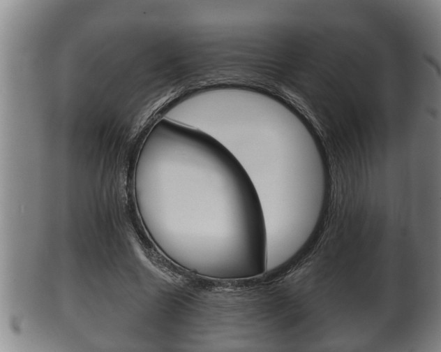 X0000100370538200806060804