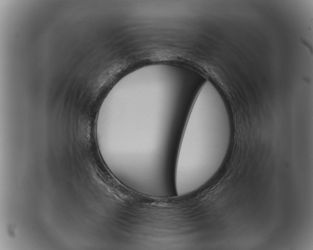 X0000100370539200806060804