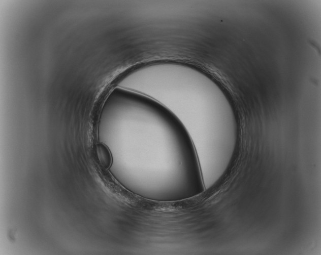 X0000100370540200806060804
