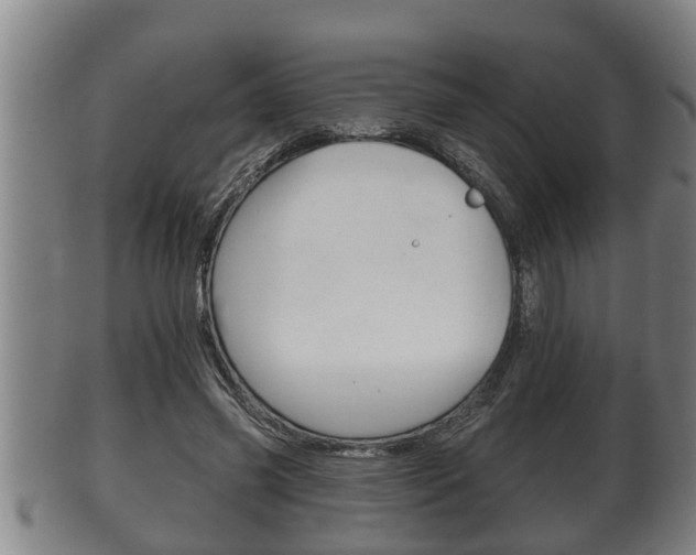 X0000100370541200806060804
